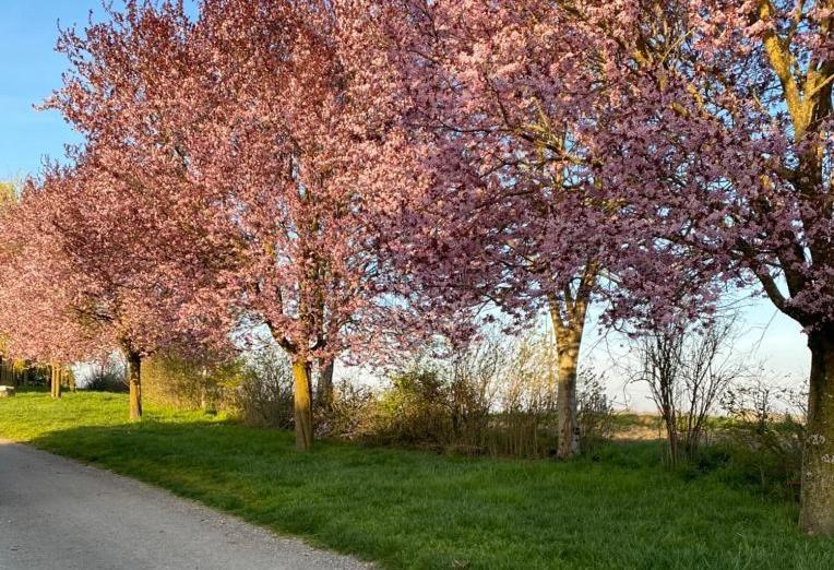 Gite A La Ferme - Confort & Nature Senouillac Экстерьер фото